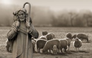 A Shepherd and His Sheep
